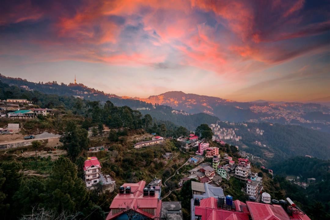 Photo of Others in Shimla