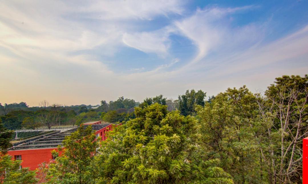 Photo of Others in Chandigarh