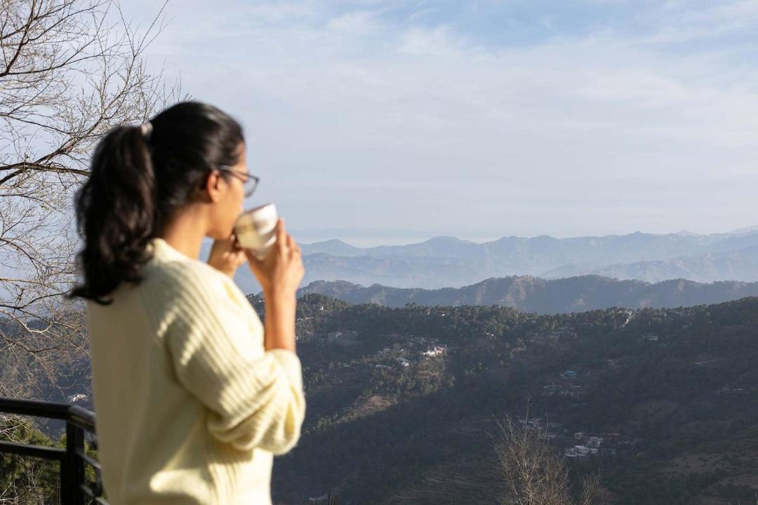 Photo of Others in Kasauli