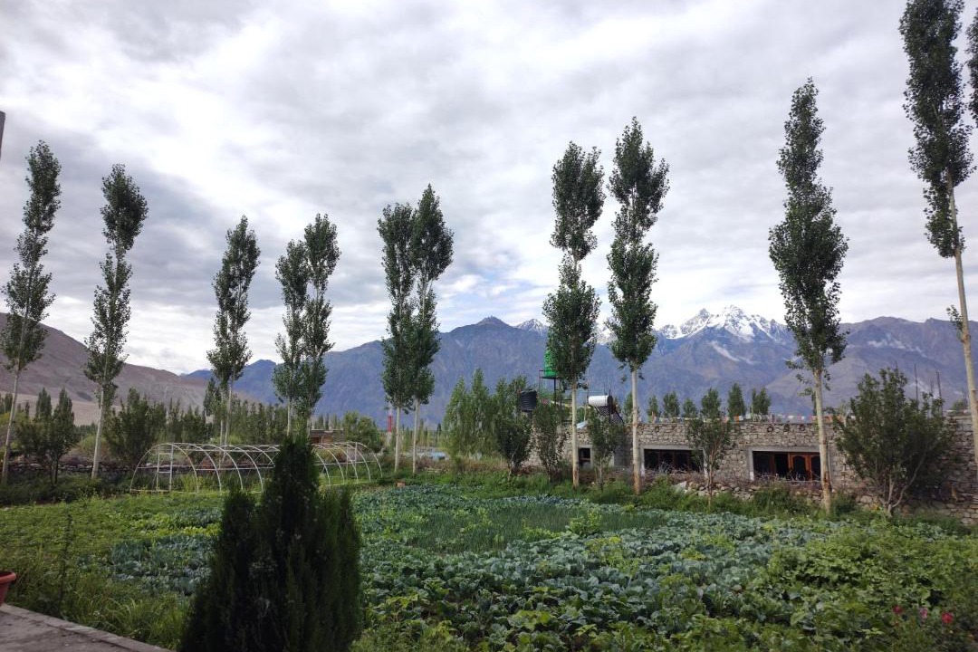Photo of Others in Nubra Valley