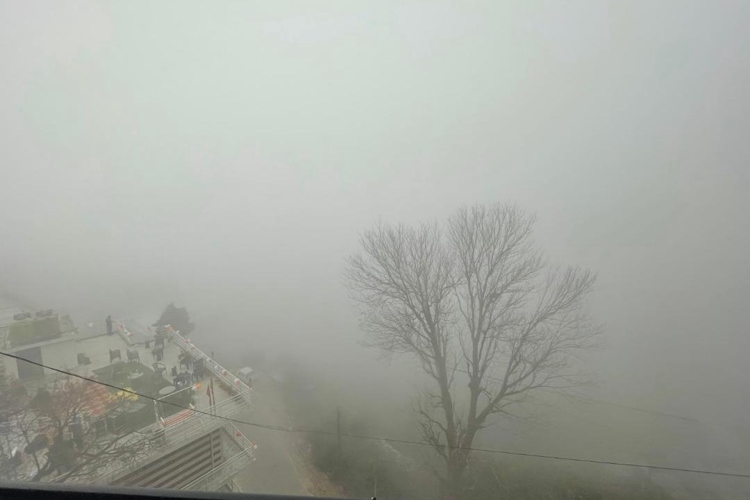 Photo of Others in Kasauli