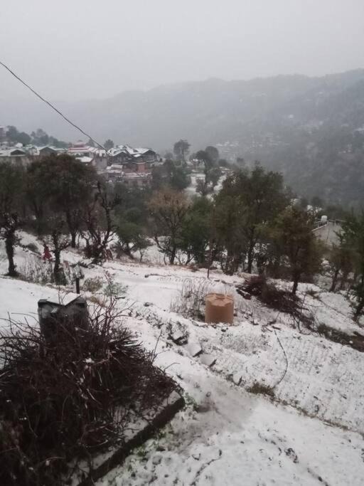 Photo of Others in Kasauli