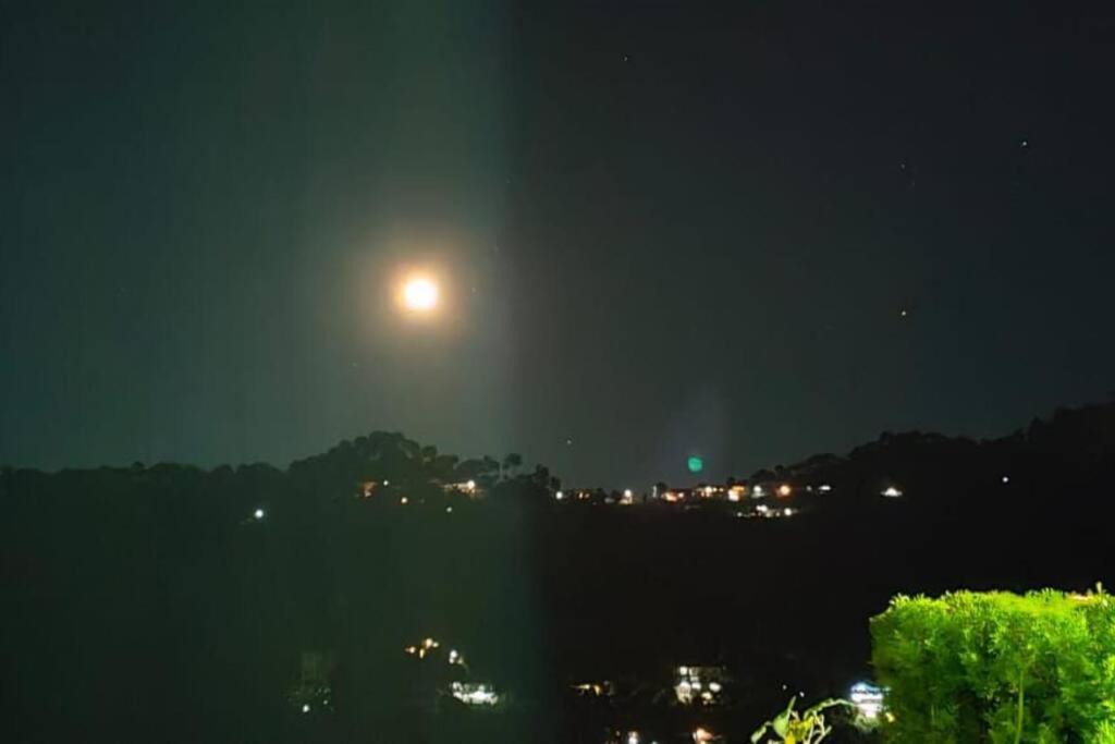 Photo of Others in Kasauli