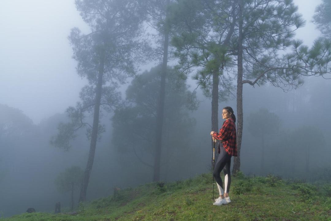 Photo of Others in Kasauli