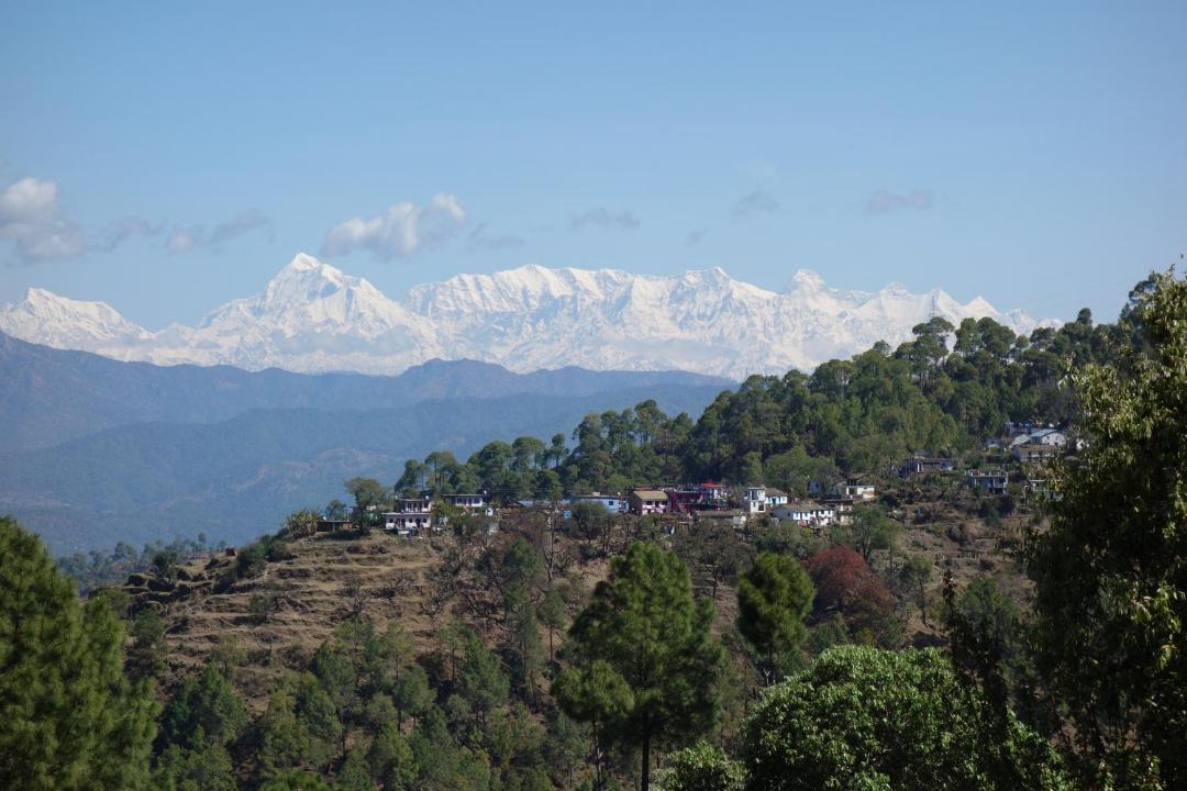 Photo of Others in Majkhali