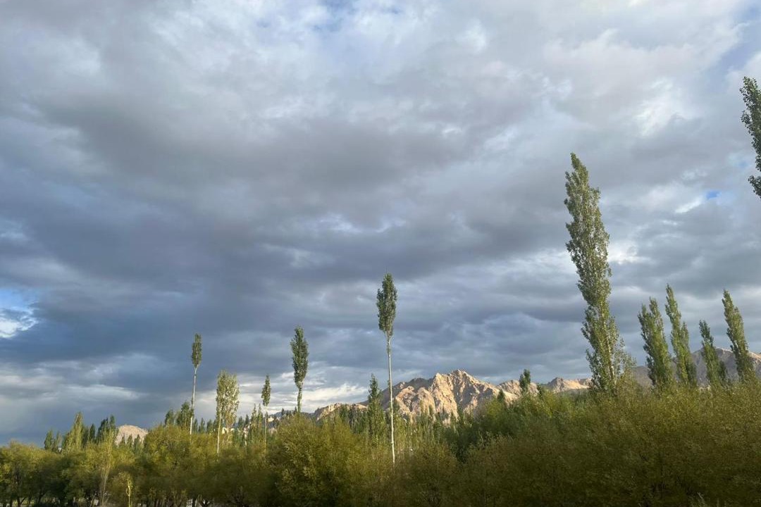 Photo of Others in Leh