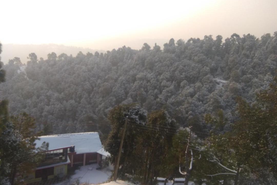 Photo of Others in Shimla