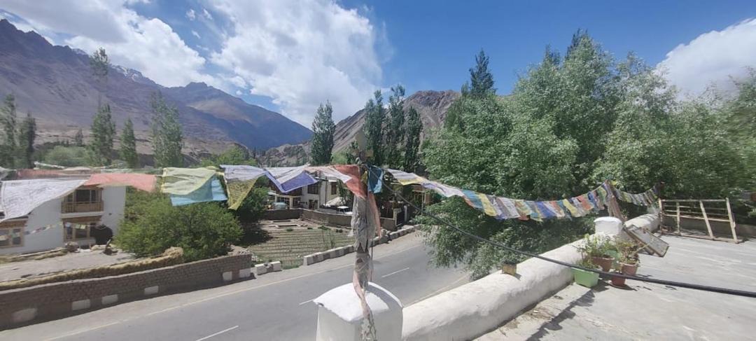 Photo of Others in Saspul