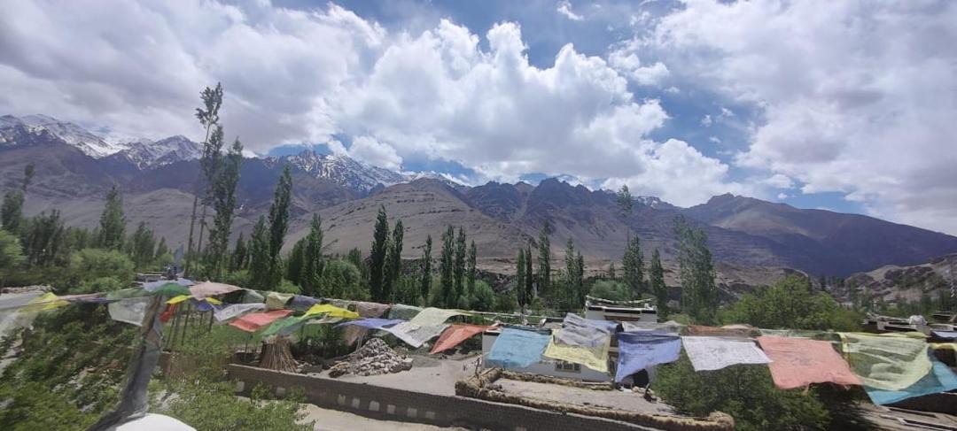 Photo of Others in Saspul