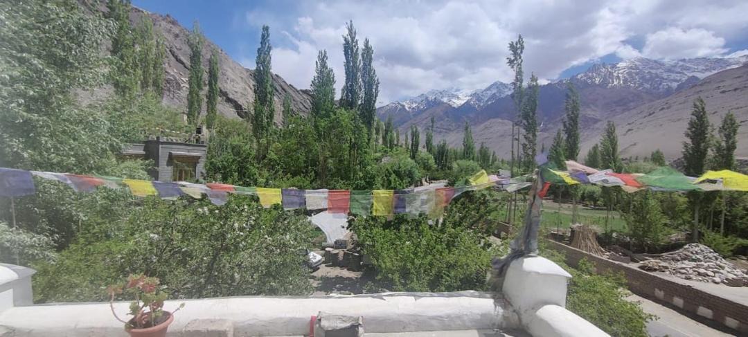 Photo of Others in Saspul