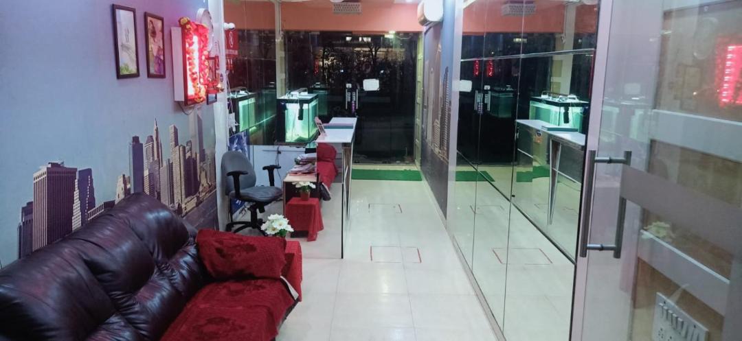 Photo of Livingroom in Shivaji Nagar