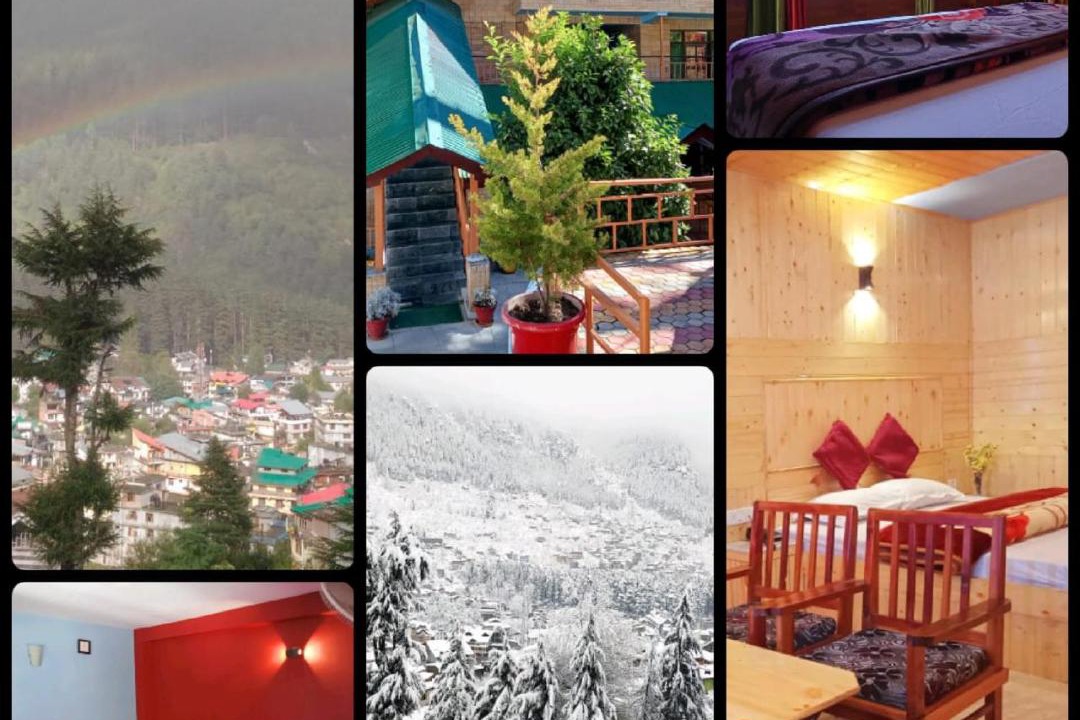 Photo of Others in New Manali