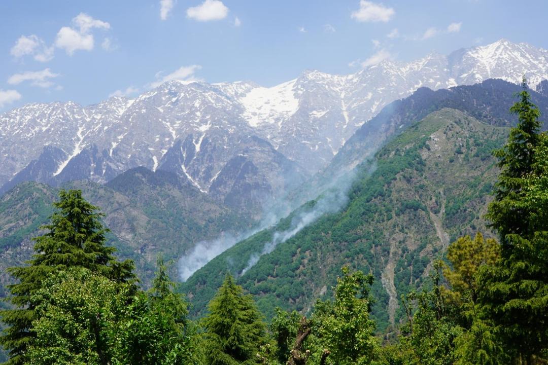 Photo of Others in Dharamshala