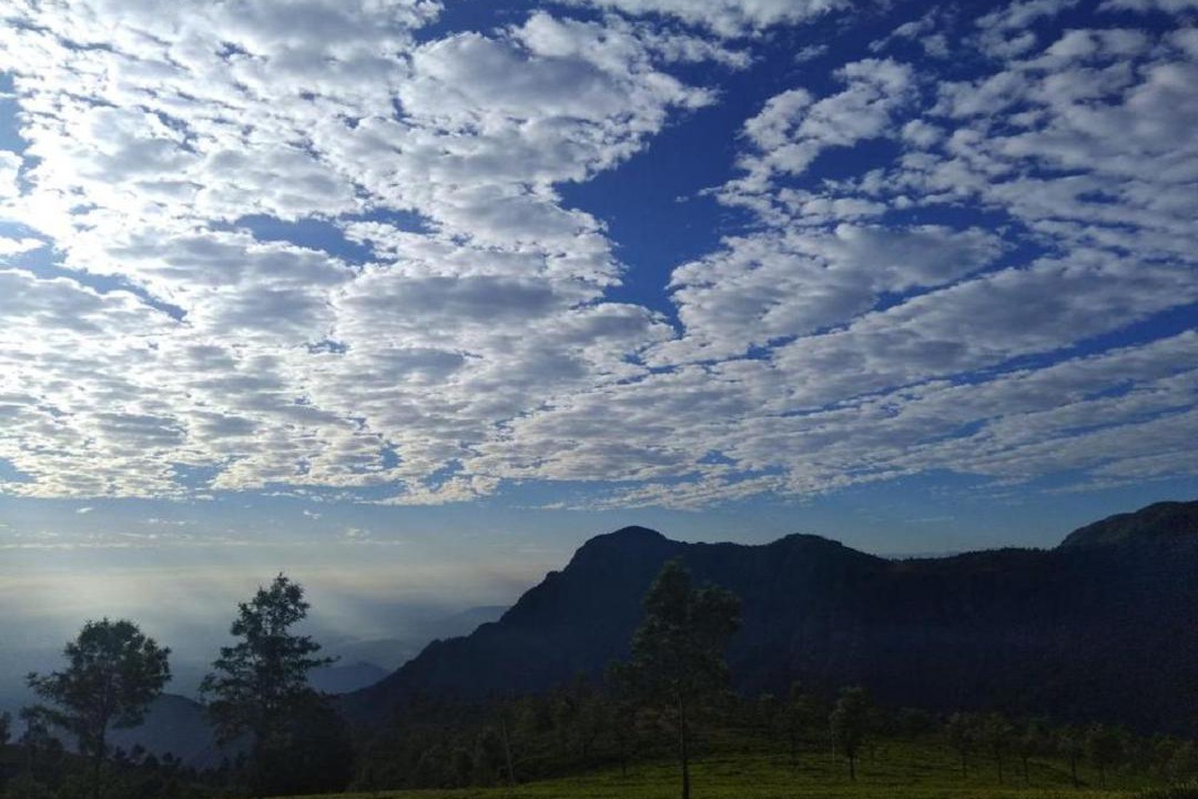 Photo of Others in Coonoor