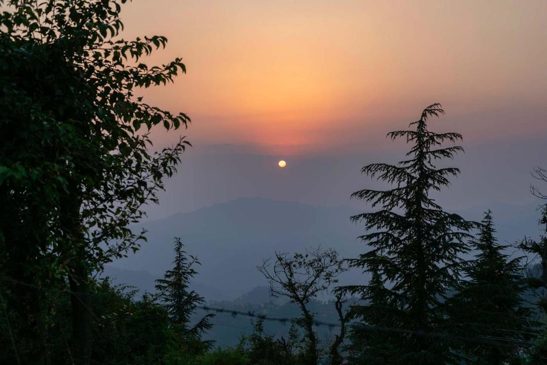 Photo of Others in Chail
