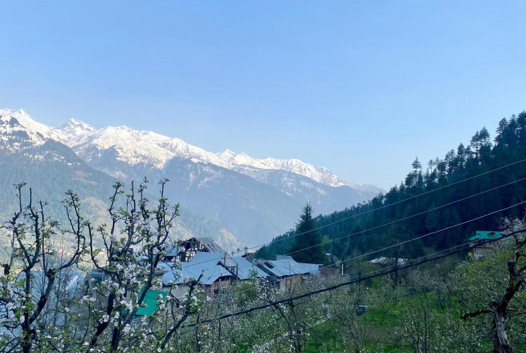 Photo of Outdoor in Manali