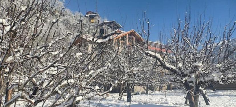 Photo of Others in Manali
