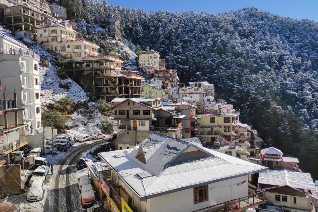 Photo of Others in Shimla