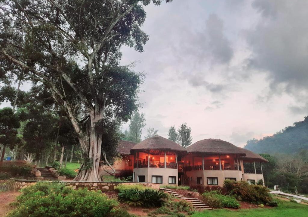 Photo of Buildings in Kodaikanal