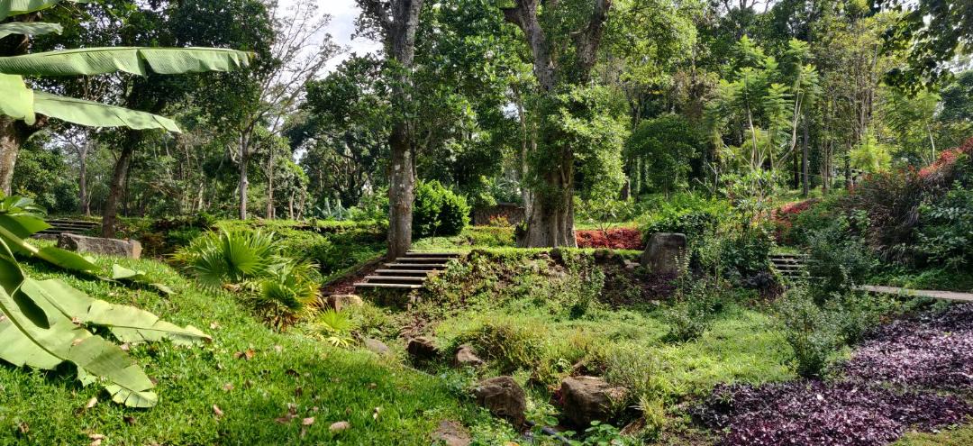 Photo of Outdoor in Kodaikanal