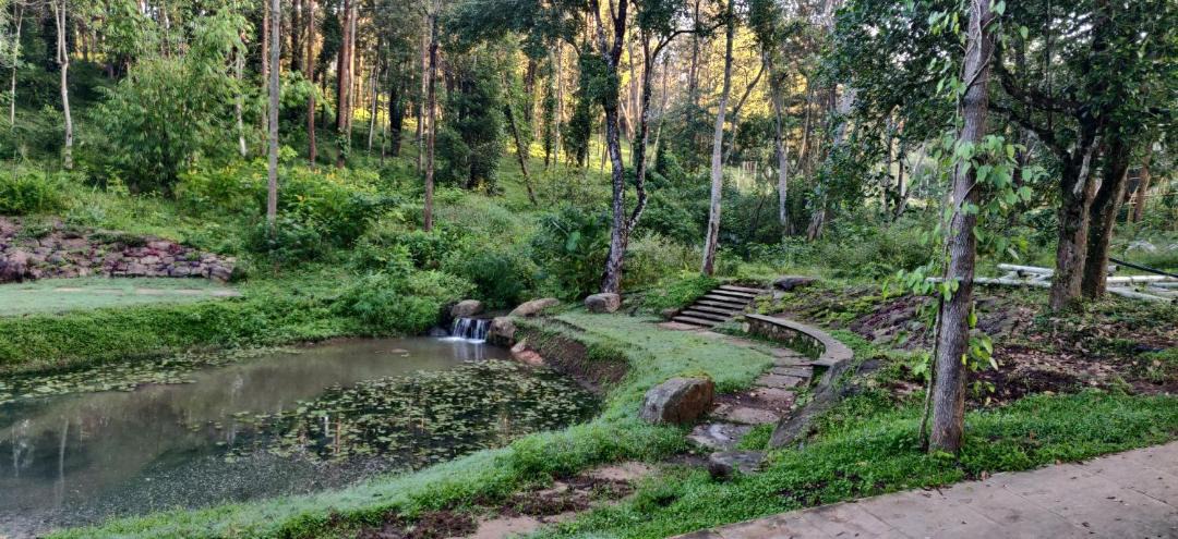 Photo of Others in Kodaikanal