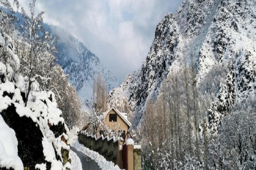 Photo of Others in Srinagar