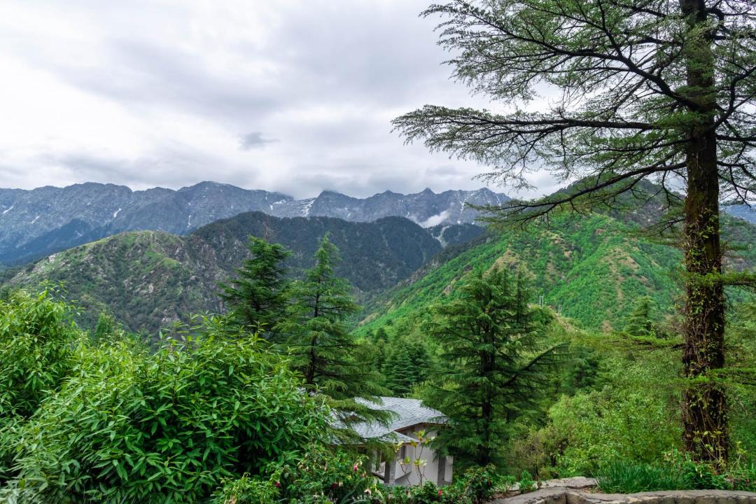 Photo of Others in McLeod Ganj