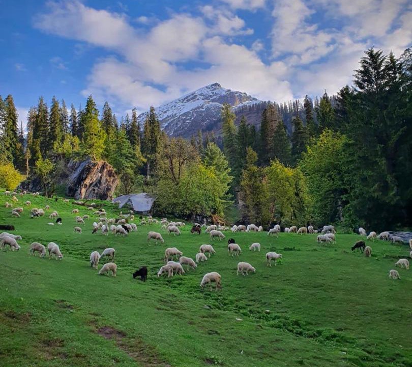 Photo of Outdoor in Kullu