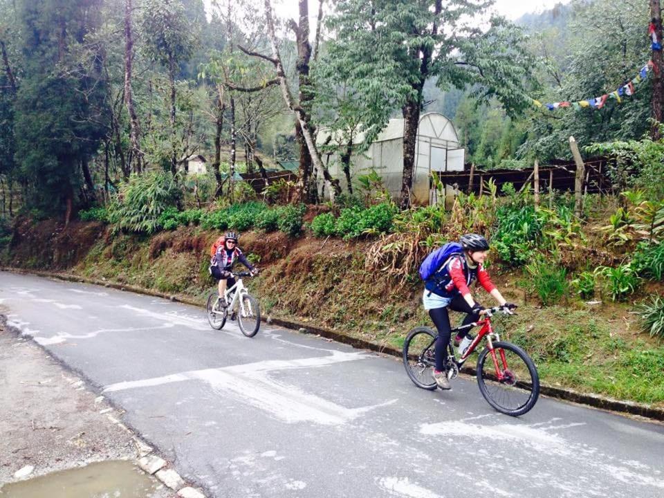 Photo of Others in Gangtok