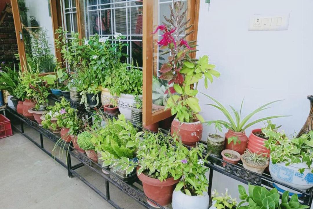 Photo of Others in Bilaspur