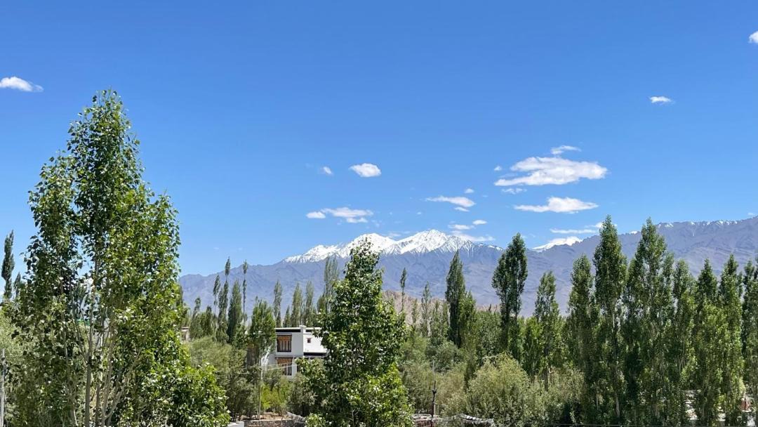 Photo of Others in Leh