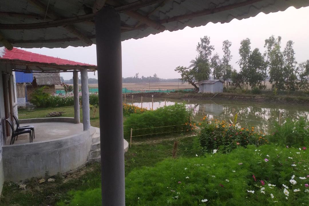 Photo of Others in Dayapur