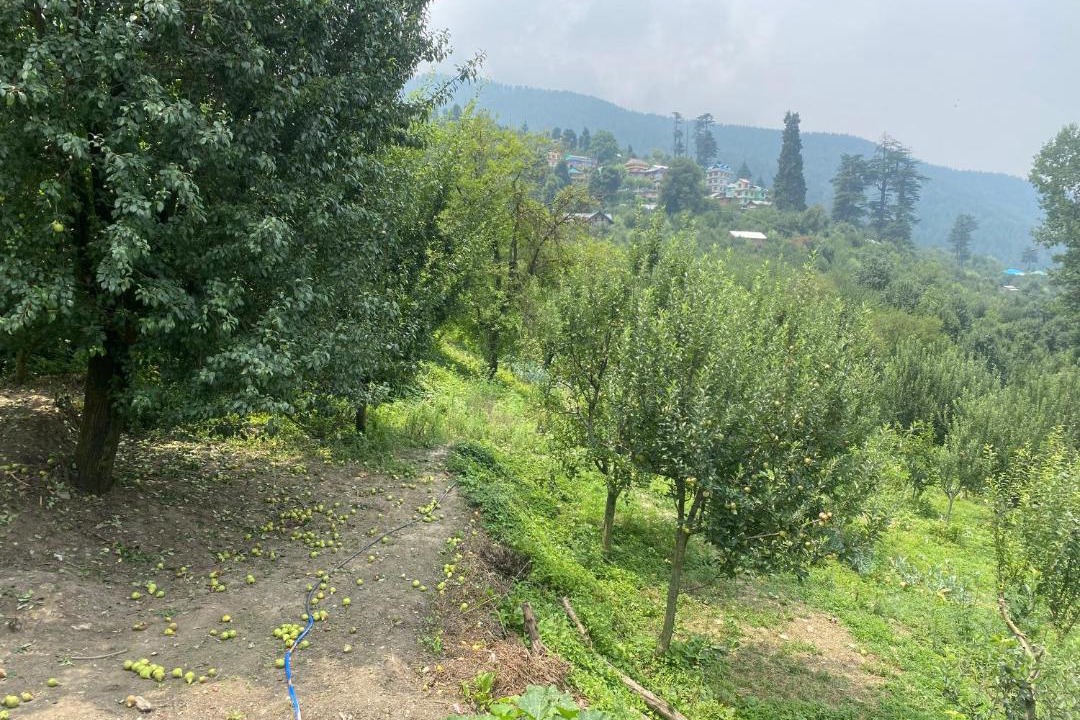 Photo of Outdoor in Kullu