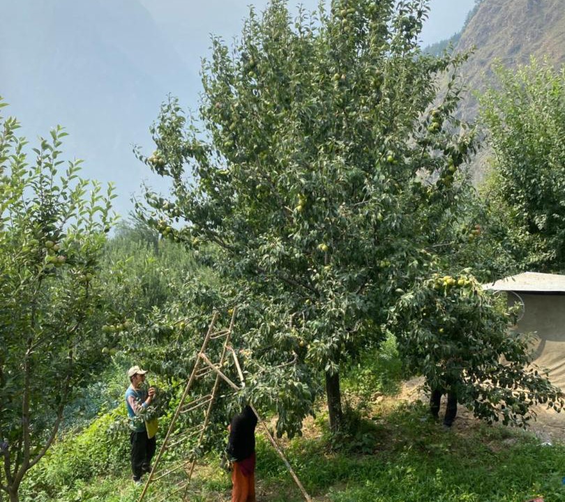 Photo of Outdoor in Kullu