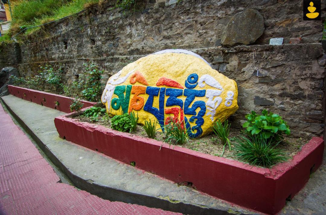Photo of Others in Manali