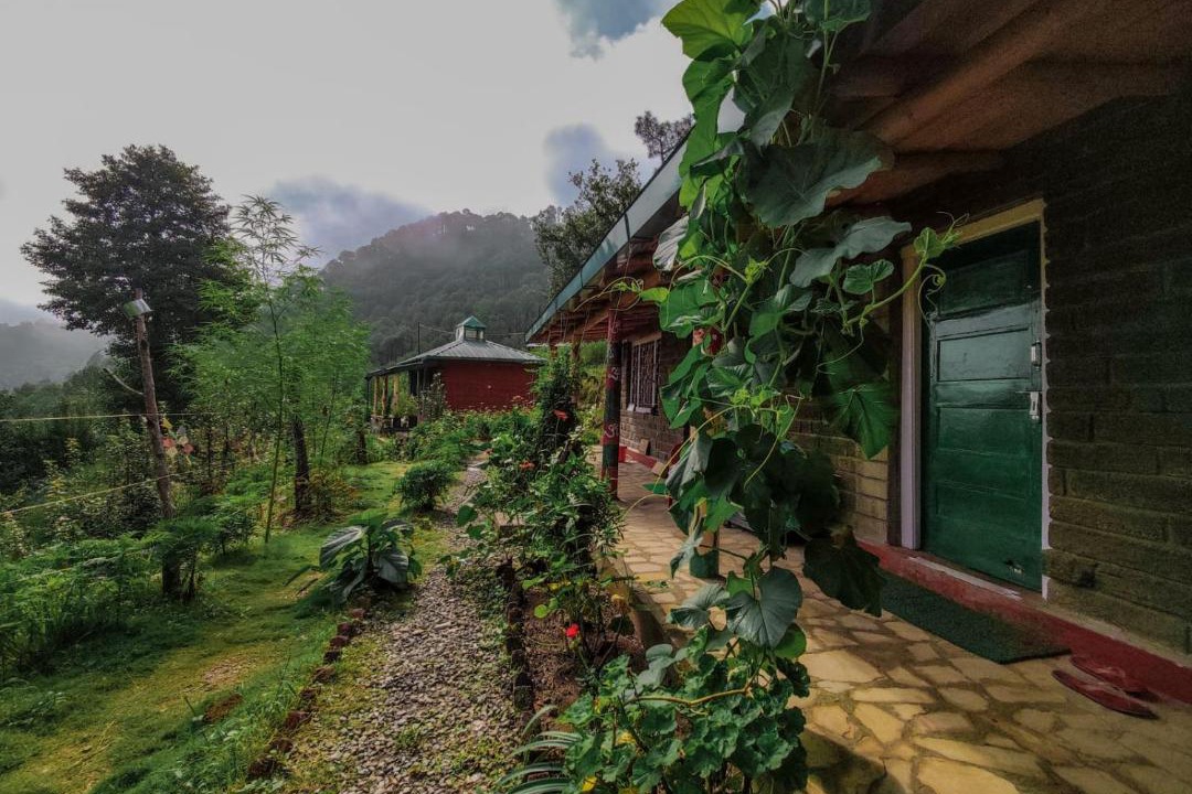 Photo of Others in Binsar