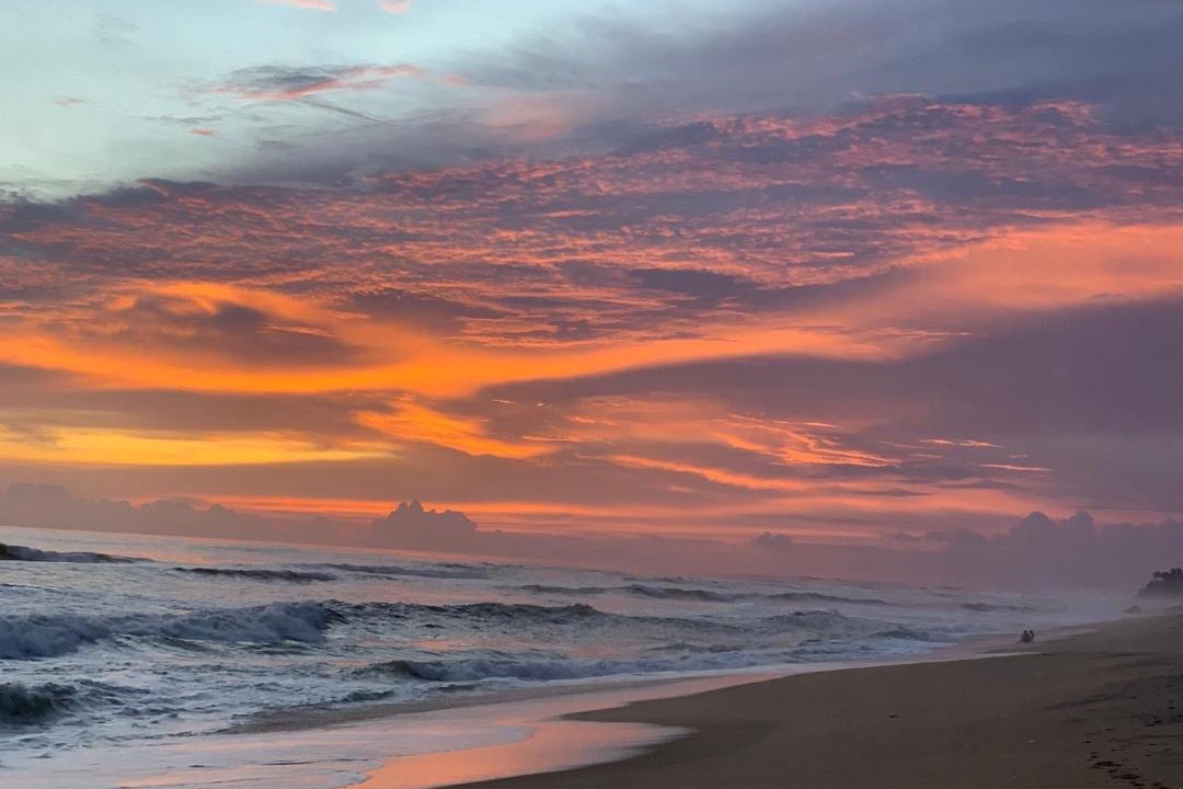 Photo of Others in Varkala