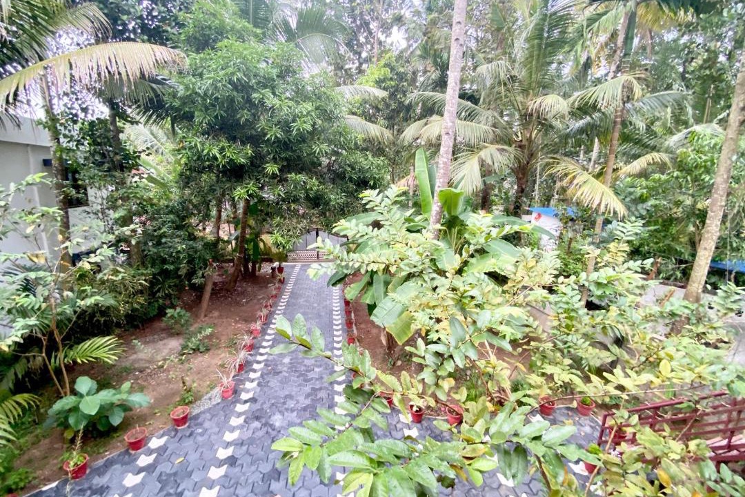 Photo of Others in Varkala