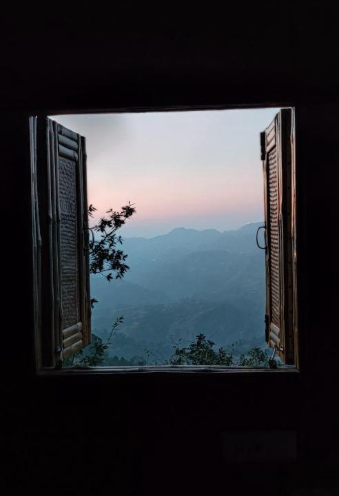 Photo of Others in Shimla