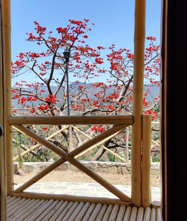 Photo of Patio Balcony in Shimla