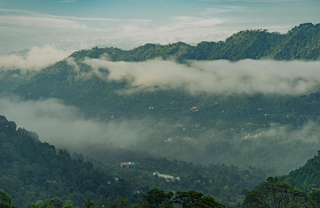 Photo of Others in Dharampur