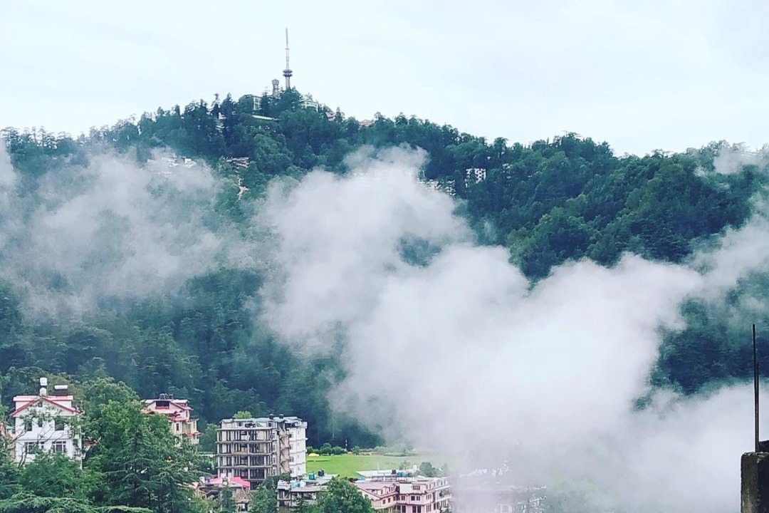 Photo of Others in Shimla