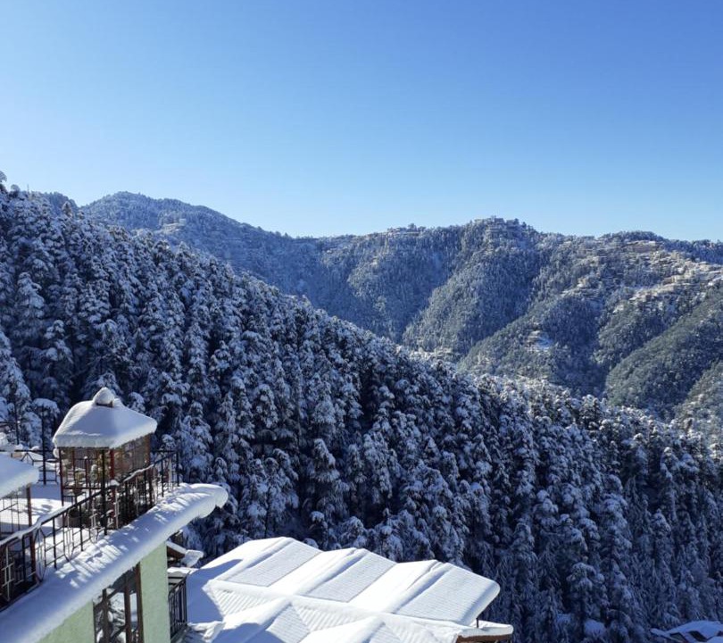 Photo of Others in Shimla