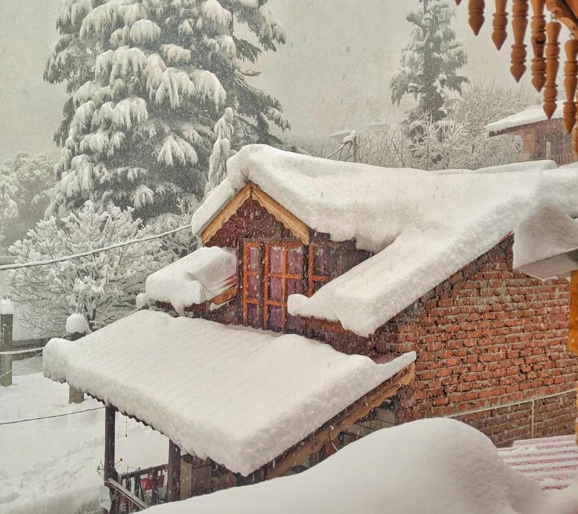 Photo of Others in Manali