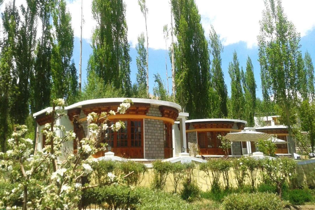 Photo of Others in Leh