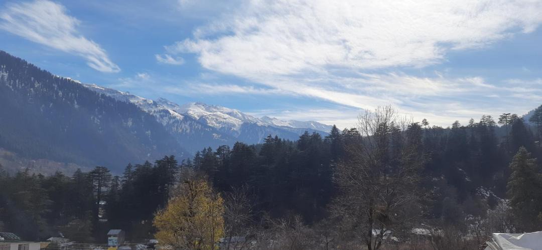 Photo of Others in Old Manali