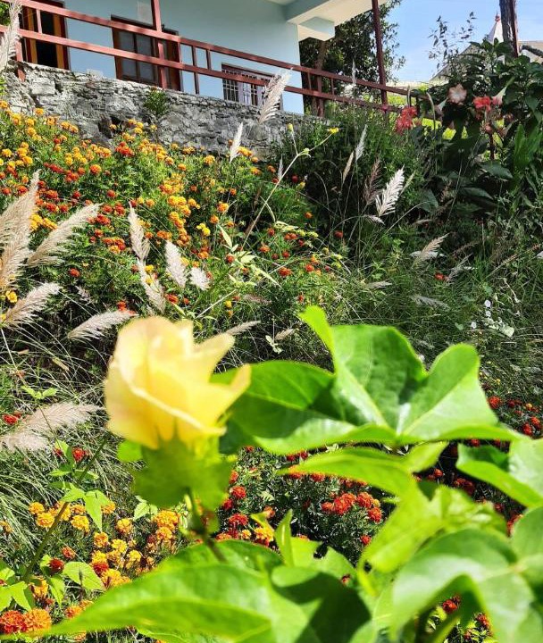Photo of Outdoor in Almora