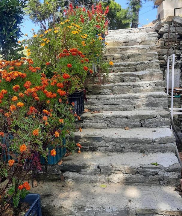 Photo of Outdoor in Almora