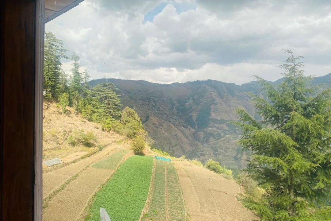Photo of Others in Kufri