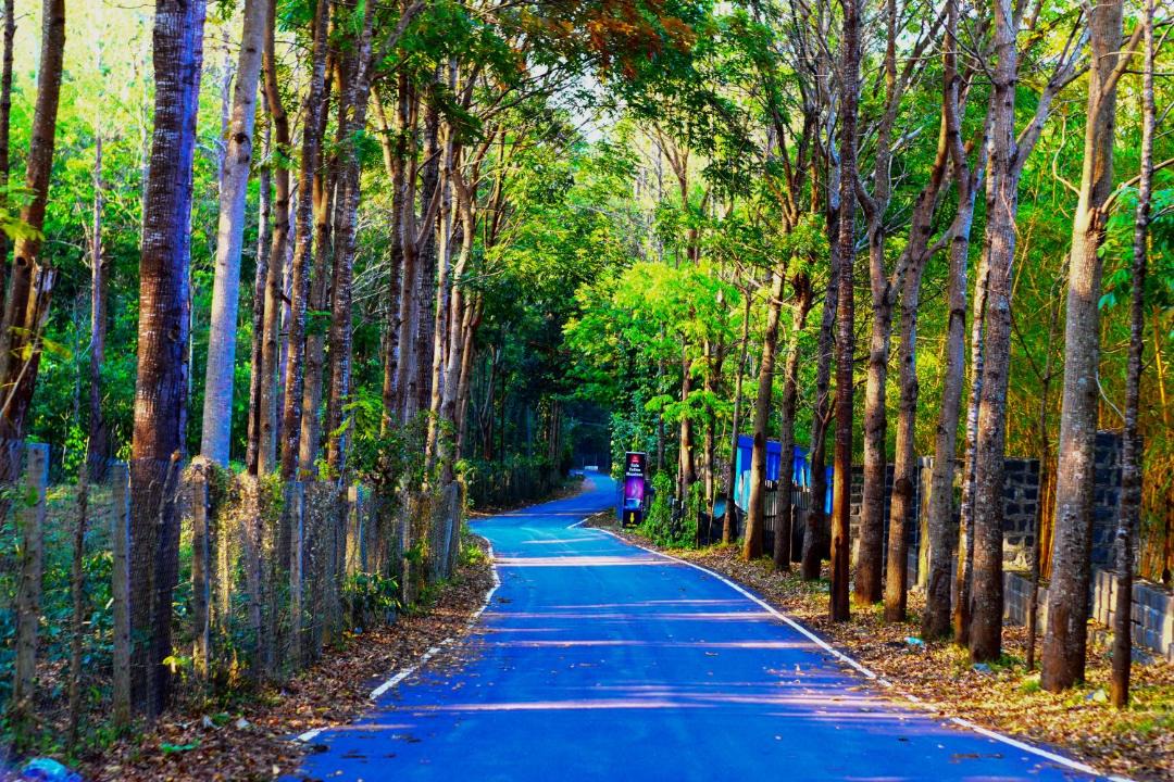 Photo of Others in Yercaud